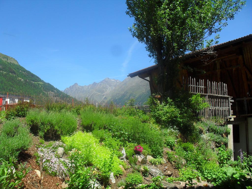 Appartamento Almhof Sölden Esterno foto